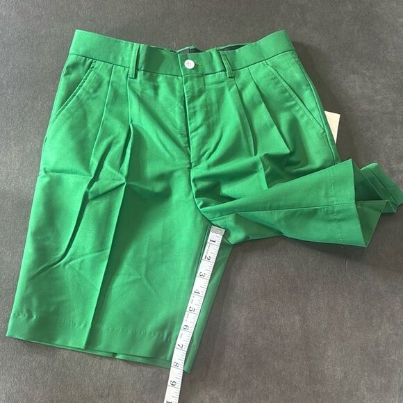 Men’s Green Flat Pleated Front Casual Slim Fit Dress Shorts Size 29 NWT - Picture 4 of 6